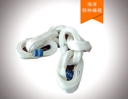 莫比烏斯環(huán)結構超高分子量聚乙烯纖維鏈帶